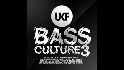 Ukf Bass Culture 2014 part 3 cd2