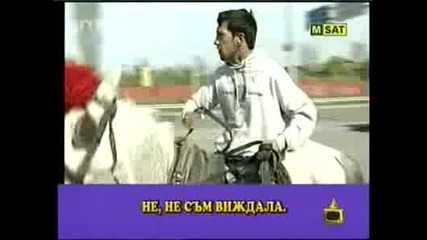 Ром си търси конете