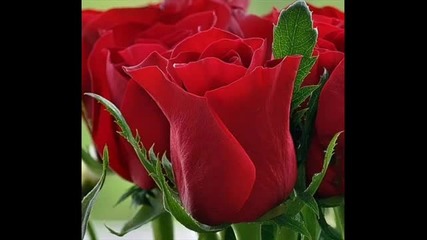Добро утро с Лунната соната !!