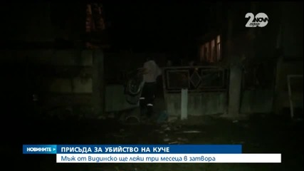 Затвор за мъж, убил куче по особено жесток начин