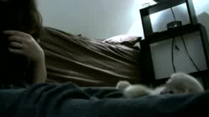 Много Сладко Коте!