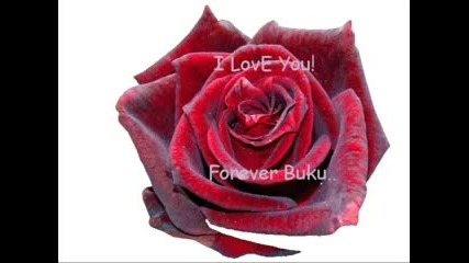 For You.. My Love (viki)