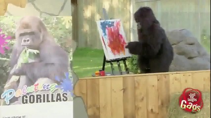 Скрита Камера - Рисуваща горила смях