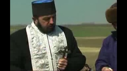 Масово залесяване на дървета в Румъния