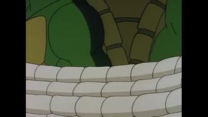 67 - Turtles of the Jungle
