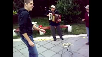 holiwydski zwezdi live ;dd