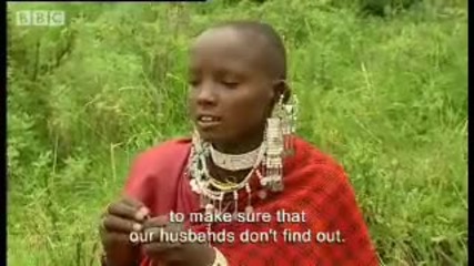 Maasai tribe Arranged marriage views - Tribal Wives - Bbc 