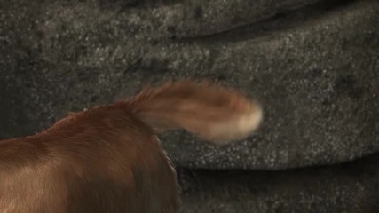 Специална мисия за Дъг Pixar 2009