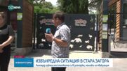 Леопард избяга от зоопарка в Стара Загора