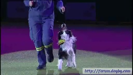 Алена Смоликова - Crufts 2010 