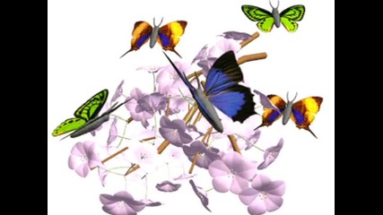 Chris Spheeris - Enchantment