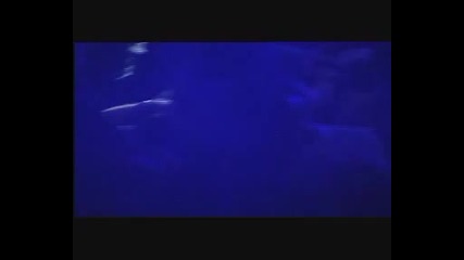 Gravity Co. - Aint No Sunshine 