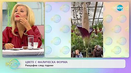 Кондоми на бъдещето: По какво се различават от сегашните - „На кафе” (02.11.2021)