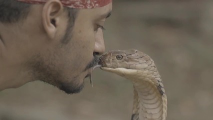 Целувка със змия!