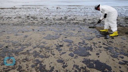 Cleanup of Oil-Fouled California Beach Could Take Months