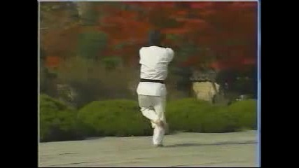 taekwondo wtf poomsae Ilyo 