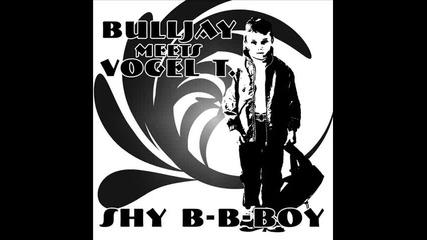 Bulljay meets Vogel T. - Shy B - B - Boy M Ace Remix 