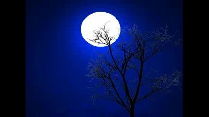 marcel van eyck - - a night we wont forget 2008 trance 