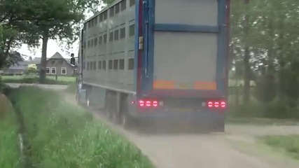 Scania R500 Intern. Veetransport Middelman.