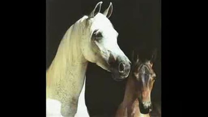 my little pony