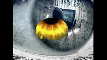 Eyes