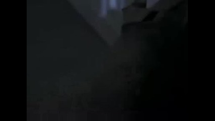 Highlander - Joe