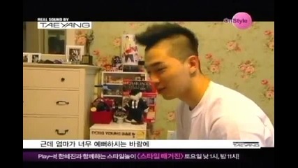 Taeyang's house and his dog..