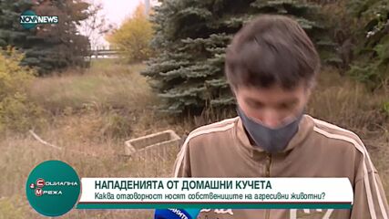 Зоопсихолог: Кучето не атакува, когато сме с лице към него и гърбът ни е защитен