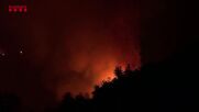 Евакуация в Каталуния заради мощен горски пожар