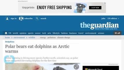 Polar Bears Eat Dolphins as Arctic Warms