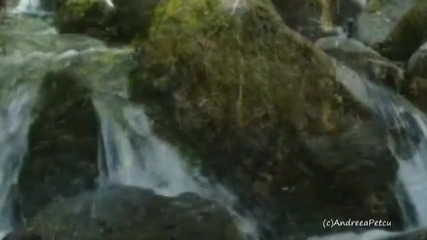 Пролет в гората - Релаксираща музика