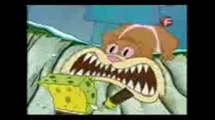 spongee bob - 1