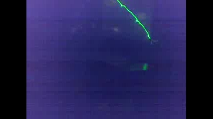 06012006094