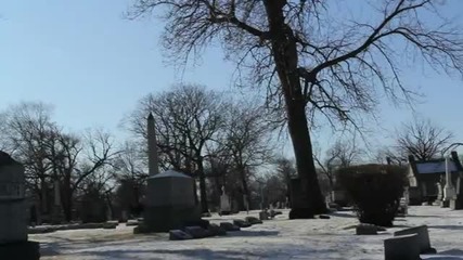 Hi Money - Freeze _ All Alone