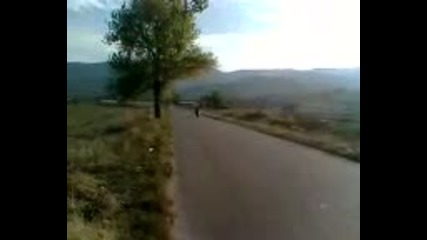 germaneca padane