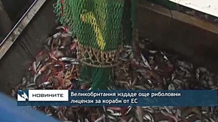 Великобритания издаде още риболовни лицензи за кораби от ЕС