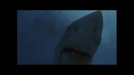 Jaws - Trailer