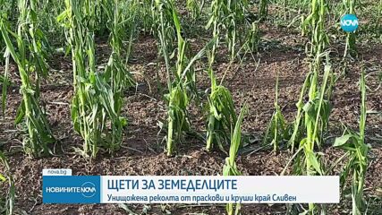 Градушката унищожи 5000 декара овошки в Сливенско