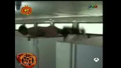 На Тигър Му Се Ходи До Тоалетната