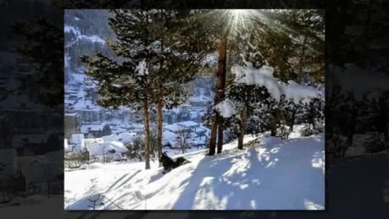 Красотата на зимата в България - авторски