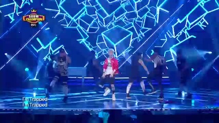 Henry - Trap, Show Champion 20130717