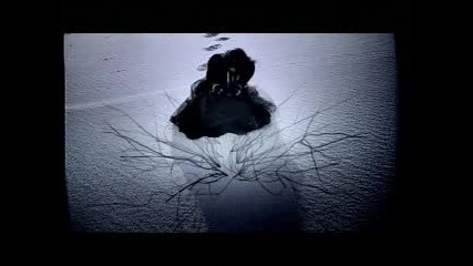Lacuna Coil - Within Me