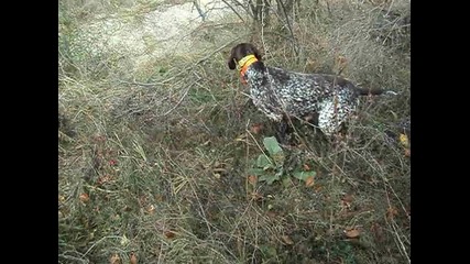 Ванеса вом Балканите ,лов на фазани 2