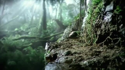 Volkswagen - Черният Бръмбар