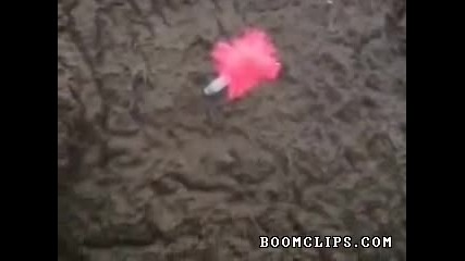 Слон потъва в кал 