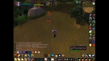 Wow - Paladin Pvp