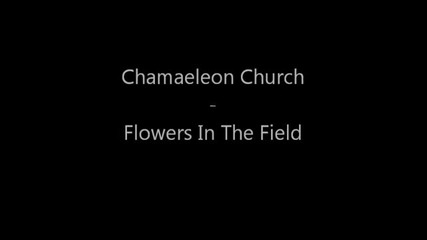 Chamaeleon Church - Flowers in the Field