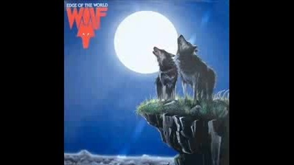 Wolf - Head Contact