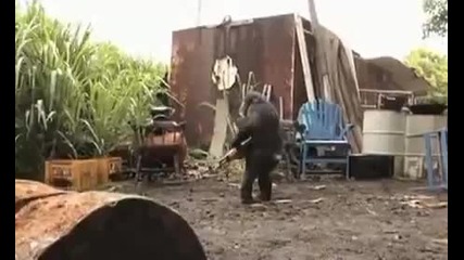 маймуна обстрелва хората с Ak 47