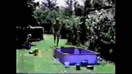 Много Смешни Падания